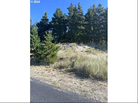 Pine Ridge Dr #141, Manzanita OR 97130