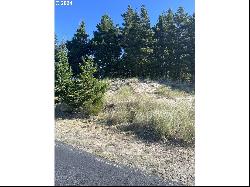 Pine Ridge Dr #141, Manzanita OR 97130