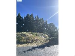 Pine Ridge Dr #141, Manzanita OR 97130