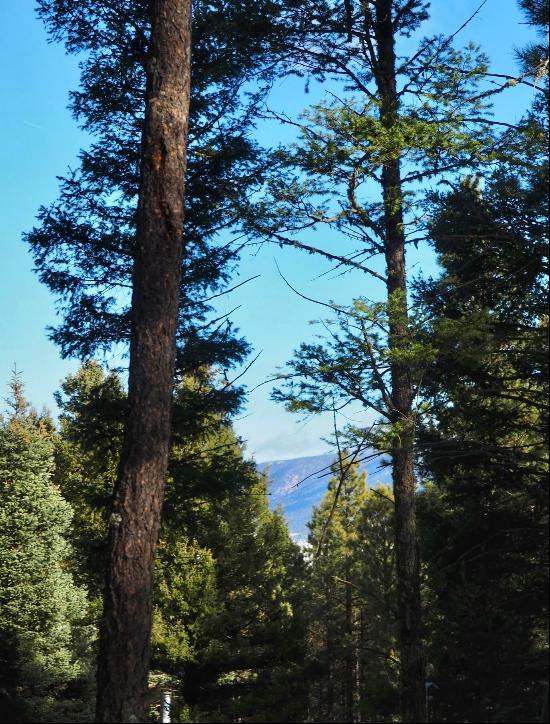 Lot 1108 Valle Grande Circle, Angel Fire NM 87710