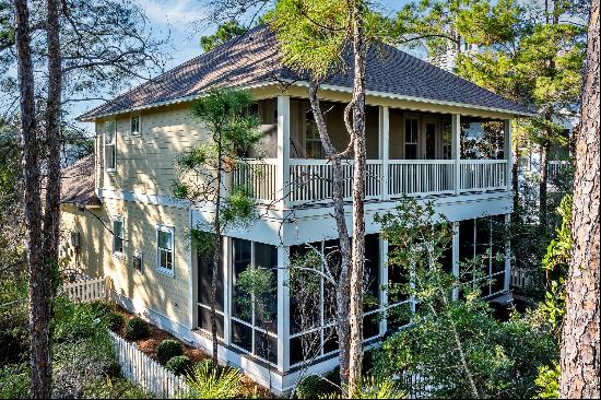 9 S Blue Moon Court, Santa Rosa Beach FL 32459