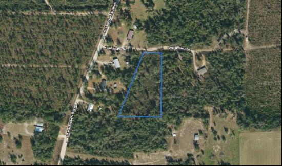 Long Branch Lane, Greenwood FL 32443