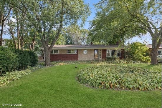 1317 E Olive Street, Arlington Heights IL 60004