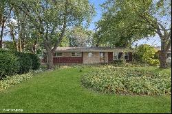 1317 E Olive Street, Arlington Heights IL 60004