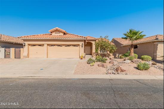 10012 E Nacoma Court, Sun Lakes AZ 85248