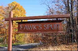 TBD Hawks Spur #90, Bellaire MI 49615