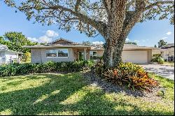 166 Stafford Circle, Palm Harbor FL 34684