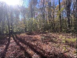 45 Acres Along Ridge Road, Brush Val/Buffington PA 15748