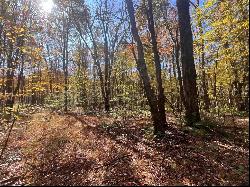 45 Acres Along Ridge Road, Brush Val/Buffington PA 15748