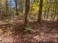 45 Acres Along Ridge Road, Brush Val/Buffington PA 15748