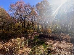 45 Acres Along Ridge Road, Brush Val/Buffington PA 15748