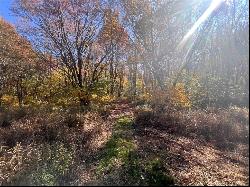 45 Acres Along Ridge Road, Brush Val/Buffington PA 15748