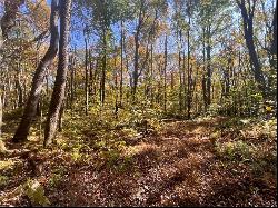 45 Acres Along Ridge Road, Brush Val/Buffington PA 15748