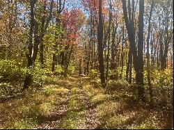 45 Acres Along Ridge Road, Brush Val/Buffington PA 15748