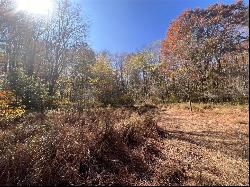 45 Acres Along Ridge Road, Brush Val/Buffington PA 15748