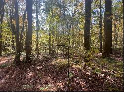 45 Acres Along Ridge Road, Brush Val/Buffington PA 15748