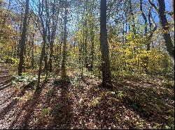 45 Acres Along Ridge Road, Brush Val/Buffington PA 15748