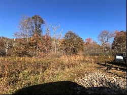 43 Acres Along Union Flat Rd, Armstrong/Shelocta PA 15774