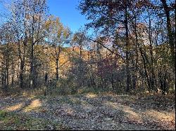 43 Acres Along Union Flat Rd, Armstrong/Shelocta PA 15774