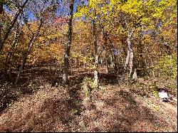 19 Acres Along Climax Road, E/W Wheatfield Twp PA 15944