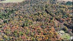 50 Acres along Bird Lane, Pine Twp/Heilwood PA 15957