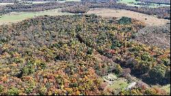 50 Acres along Bird Lane, Pine Twp/Heilwood PA 15957