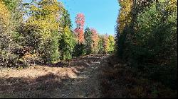 50 Acres along Bird Lane, Pine Twp/Heilwood PA 15957