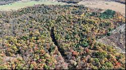 50 Acres along Bird Lane, Pine Twp/Heilwood PA 15957