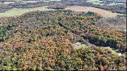 50 Acres along Bird Lane, Pine Twp/Heilwood PA 15957