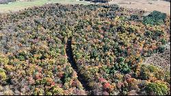 50 Acres along Bird Lane, Pine Twp/Heilwood PA 15957