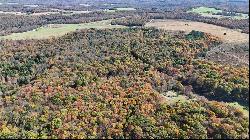 50 Acres along Bird Lane, Pine Twp/Heilwood PA 15957