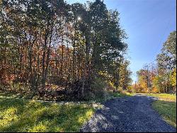 49 Acres Along Hesbon Road, E/W Wheatfield Twp PA 15717