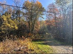 49 Acres Along Hesbon Road, E/W Wheatfield Twp PA 15717