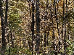 168 Acres Along Littletown Rd, Brush Val/Buffington PA 15748