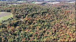 168 Acres Along Littletown Rd, Brush Val/Buffington PA 15748