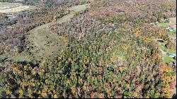 173.86 Acres Along Route 403 Highway, Pine Twp/Heilwood PA 15714