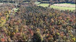 173.86 Acres Along Route 403 Highway, Pine Twp/Heilwood PA 15714