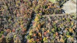 173.86 Acres Along Route 403 Highway, Pine Twp/Heilwood PA 15714