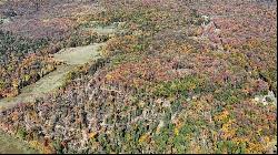 173.86 Acres Along Route 403 Highway, Pine Twp/Heilwood PA 15714