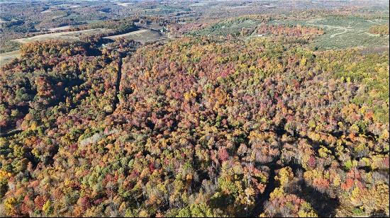 76 Acres along Braughler Road, Montgomery/Grant PA 15759