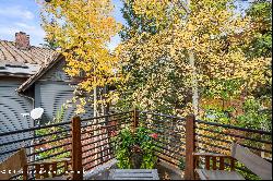 1016 E Hopkins Avenue, Aspen CO 81611