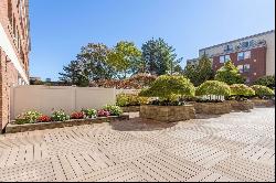 20 Webster St #501, Brookline MA 02446