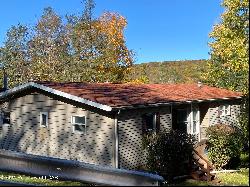 8 Eagle Street, Harveys Lake PA 18618