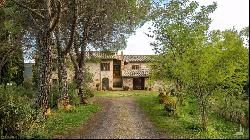 Casale with vineyard and olive grove, Siena - Tuscany