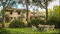 Casale with vineyard and olive grove, Siena - Tuscany