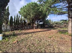 RARE OPPORTUNITY: LAND FOR SALE IN THE CENTER OF NARBONNE