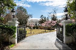 2.6+/- Acre Gated Palace in Atlanta