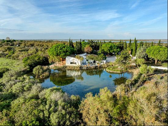 Provence Alpes Cote dAzur