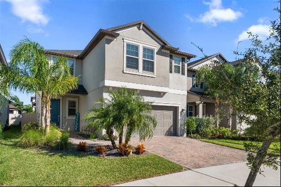 NEW PORT RICHEY Residential