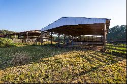 Sprawling 122 Acre Cattle Farm In Gilmer County!